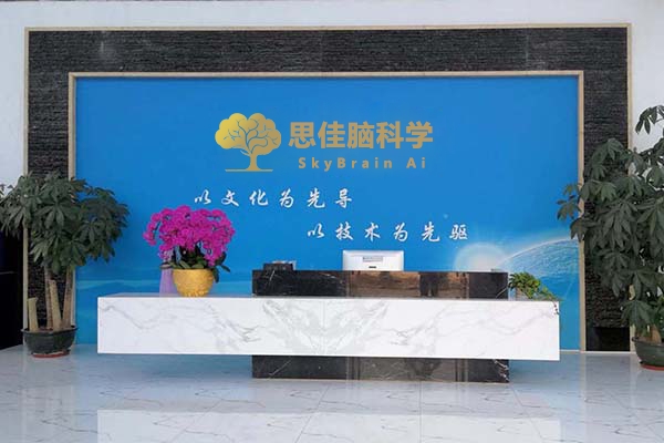 思佳心脑科技