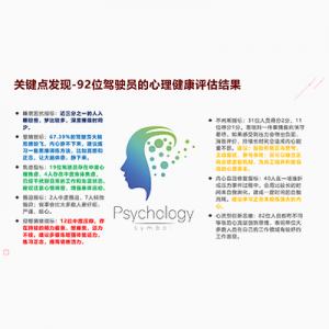 专家分析报告